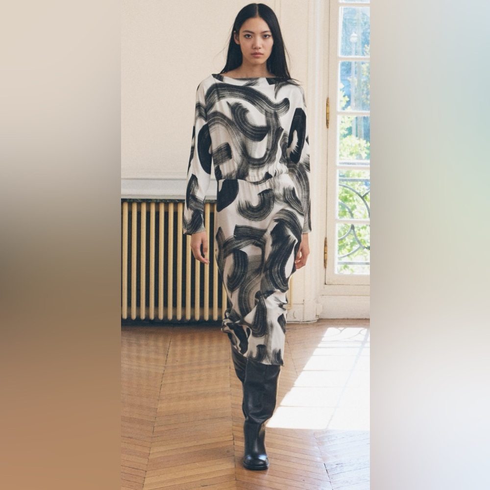 NWT ZARA PRINTED DRESS
